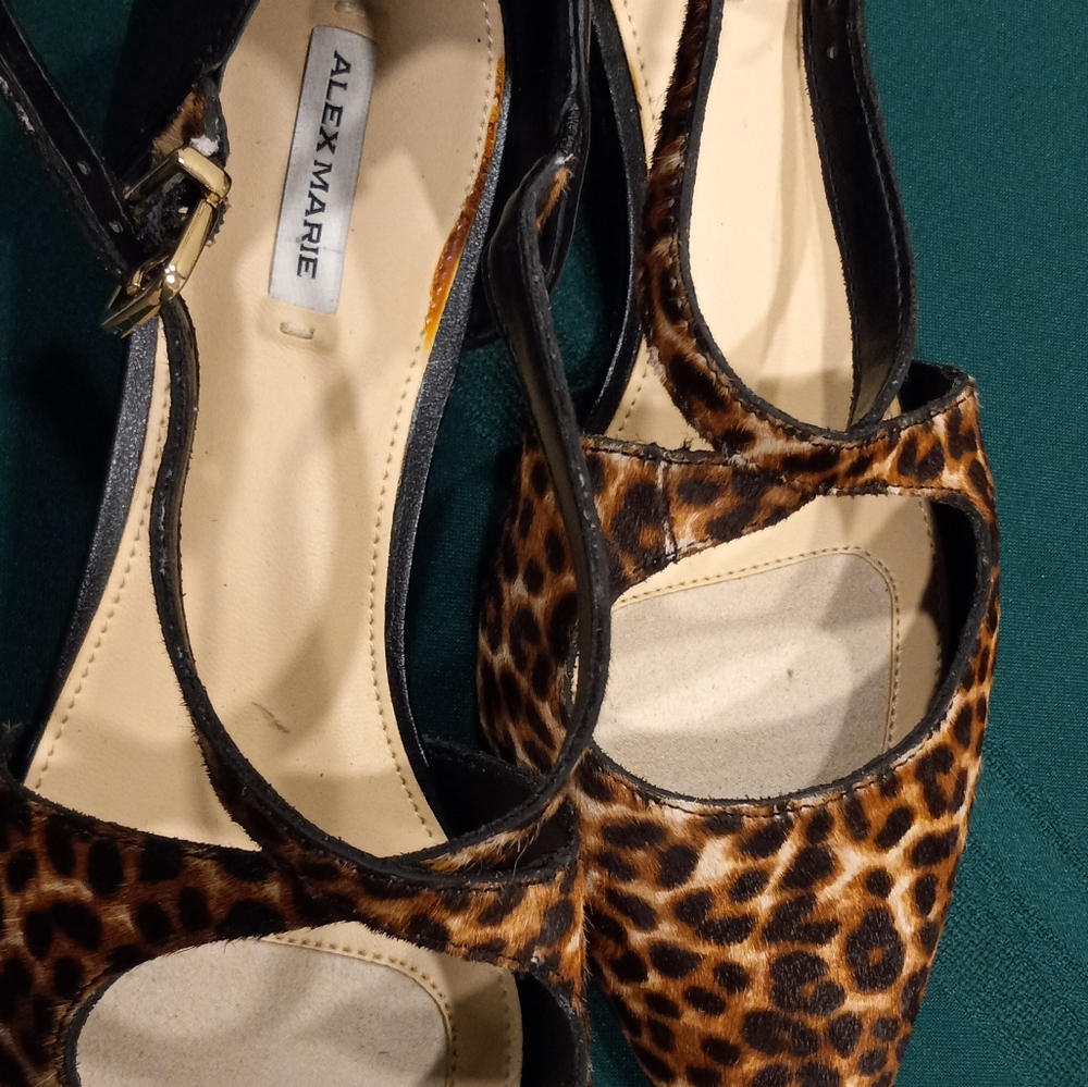 Alex Marie Leopard Print Women's Shoes